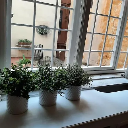 Charming Loft In Piazza Di Spagna *