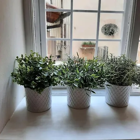 Charming Loft In Piazza Di Spagna * Roma